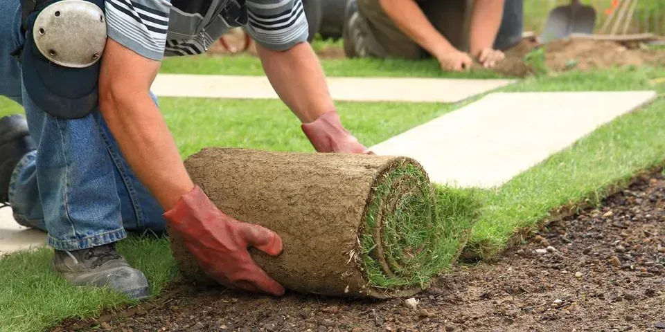 A man is rolling a roll of grass on the ground.