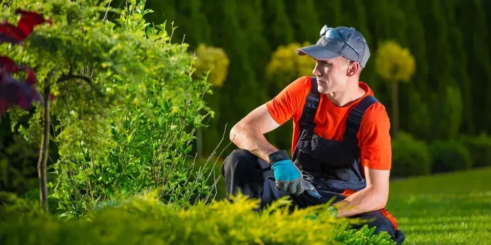A man is sitting on the grass in a garden.