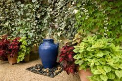 A blue vase is sitting in front of a wall surrounded by potted plants.