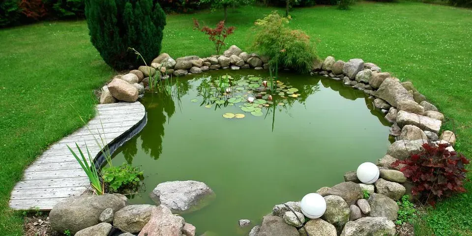 There is a pond in the middle of the garden surrounded by rocks.