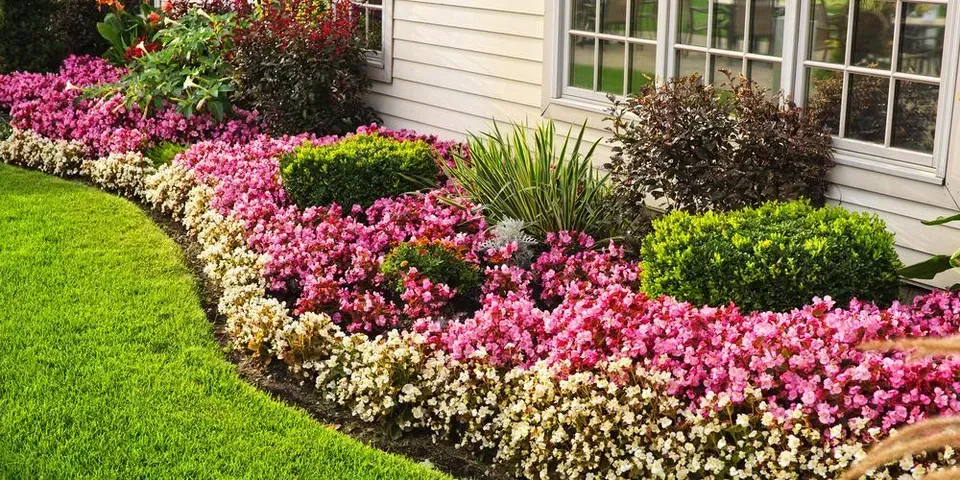 A garden with pink and white flowers in front of a house.