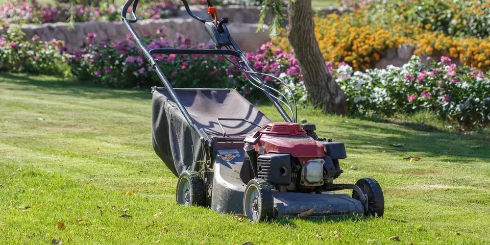 A lawn mower is cutting the grass in a garden.