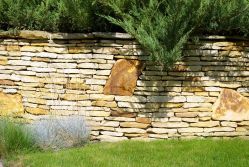A stone wall with a tree in the middle of it in a garden.