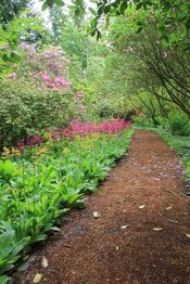 A dirt path in a garden surrounded by trees and flowers.