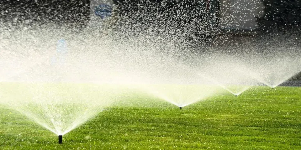 A row of sprinklers spraying water on a lush green lawn.