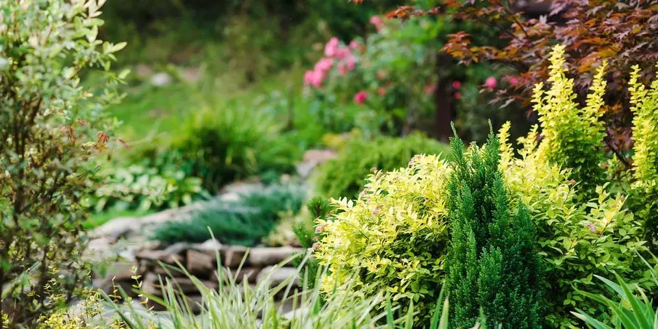 A garden filled with lots of plants and flowers
