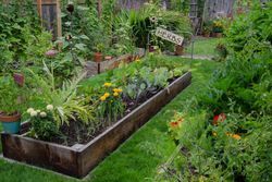 A garden filled with lots of plants and flowers and a sign that says herbs.