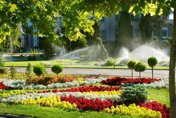 A sprinkler is spraying water on a lush green garden filled with flowers and trees.