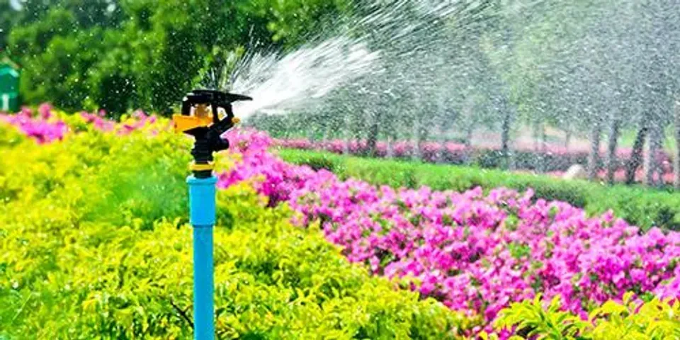 A sprinkler is spraying water on a field of flowers.