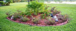 A small garden in the middle of a lush green field.