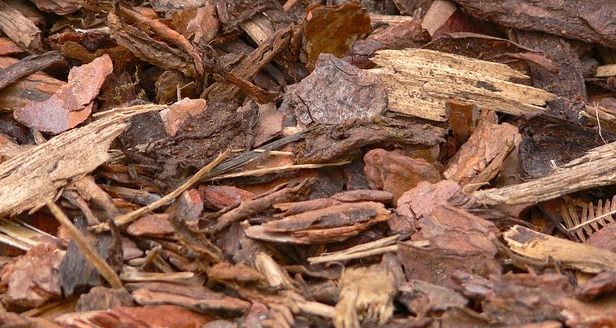 A pile of wood chips and leaves on the ground.