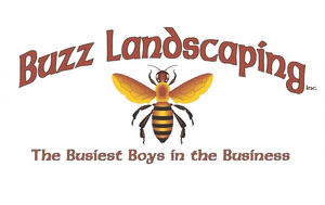 Buzz Landscaping