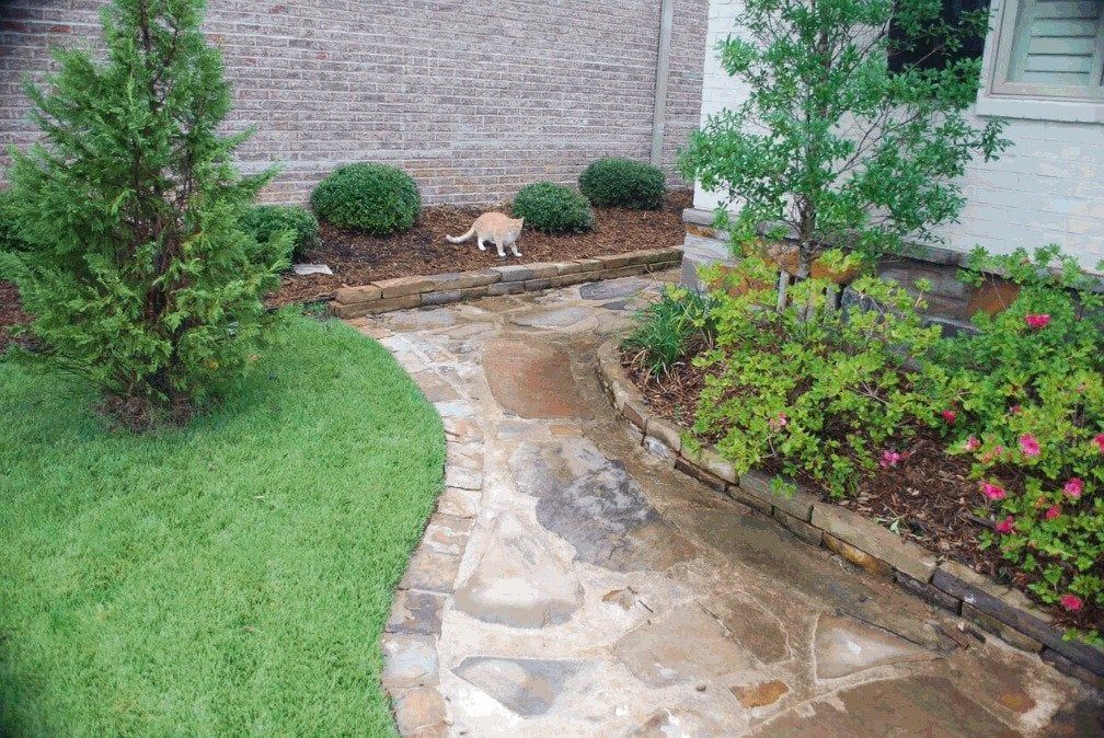 A cat is walking down a stone walkway in a garden.