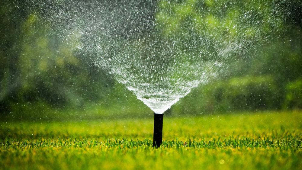 A sprinkler is spraying water on a lush green field.