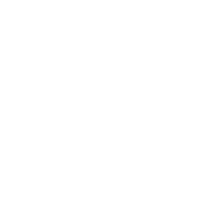 Pegasus Custom Homes & Renovations