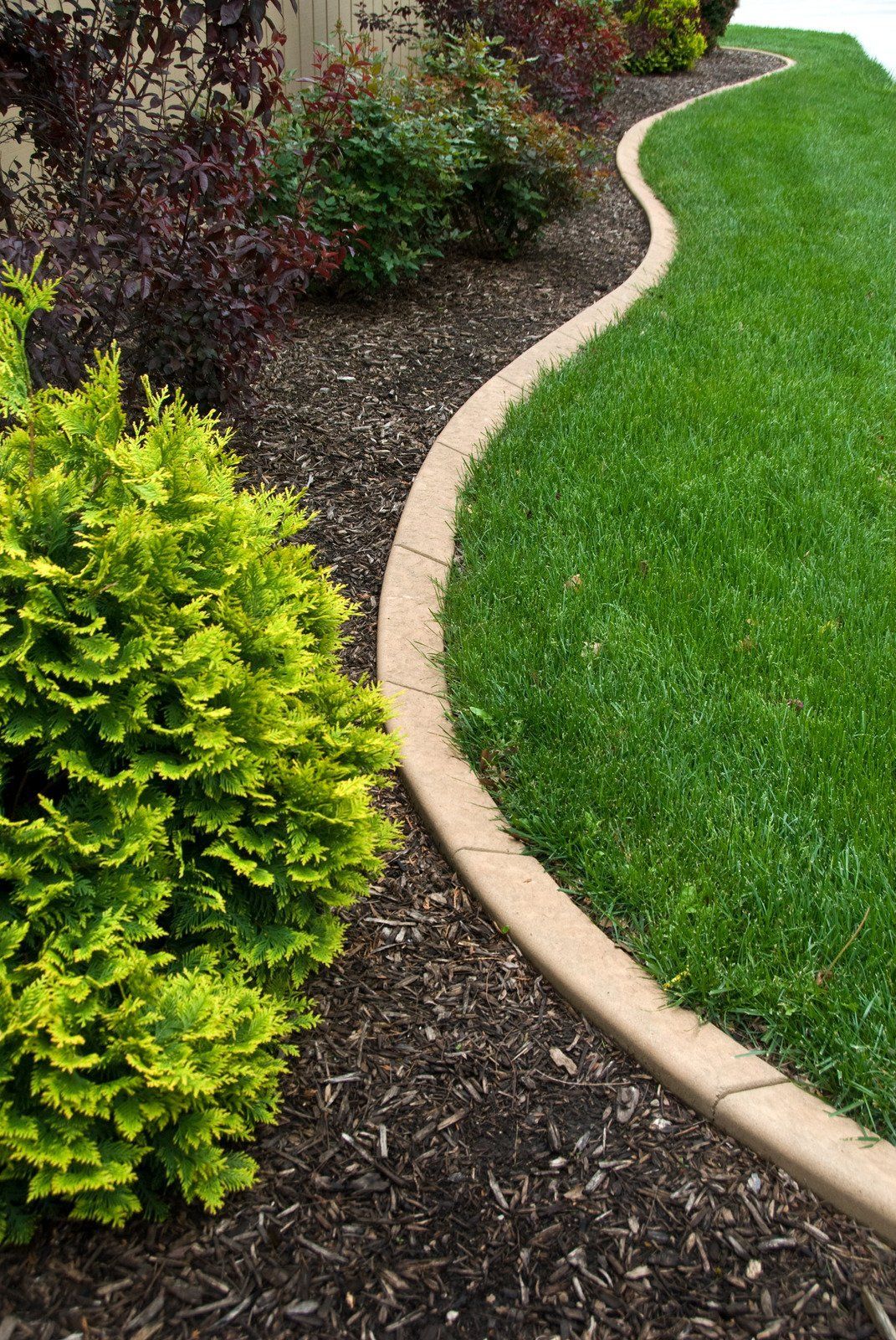 Curved concrete border separating green grass from a garden bed with dark mulch and plants.