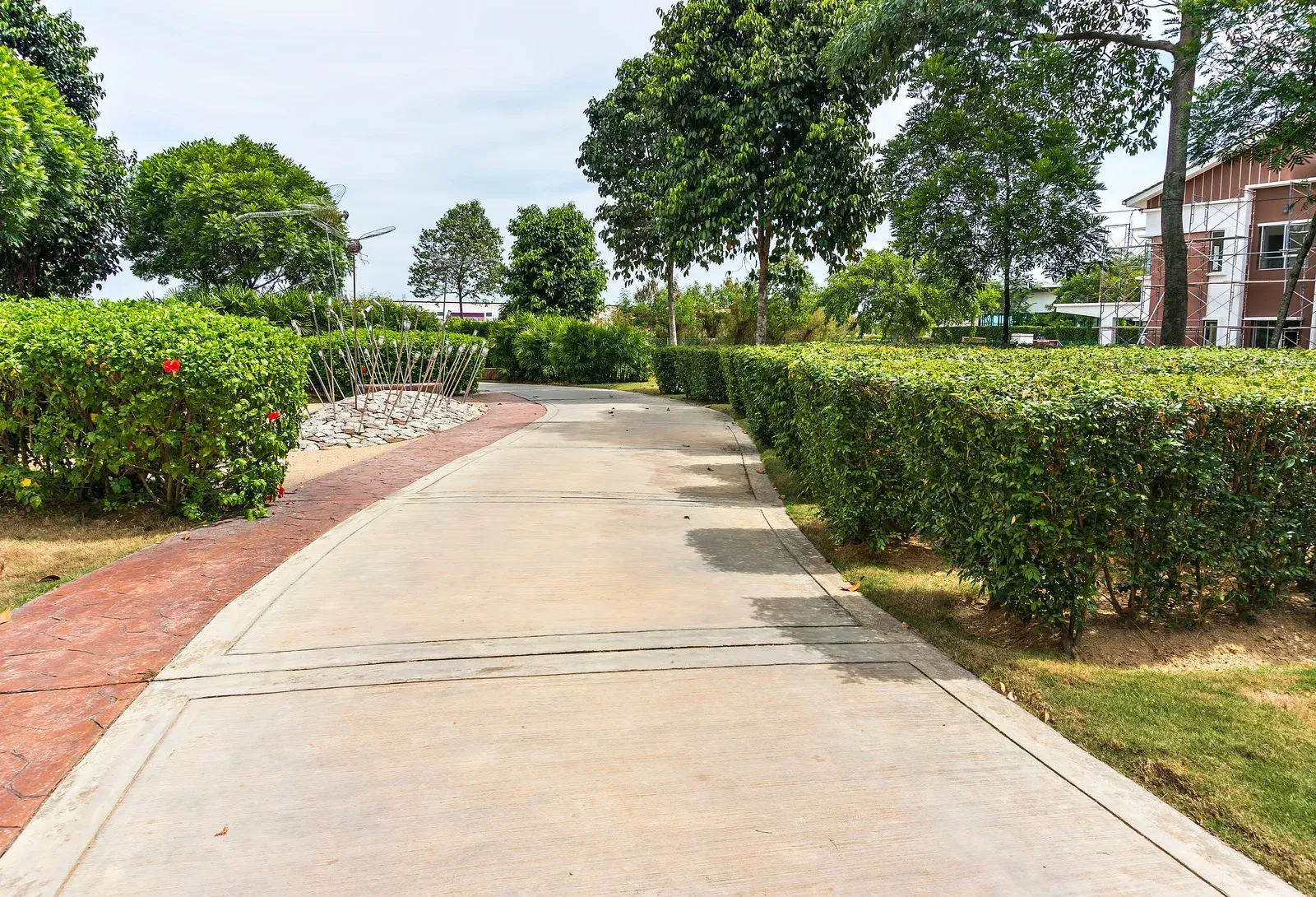 Concrete pathway lined with green hedges and grass, leading through a park with trees.