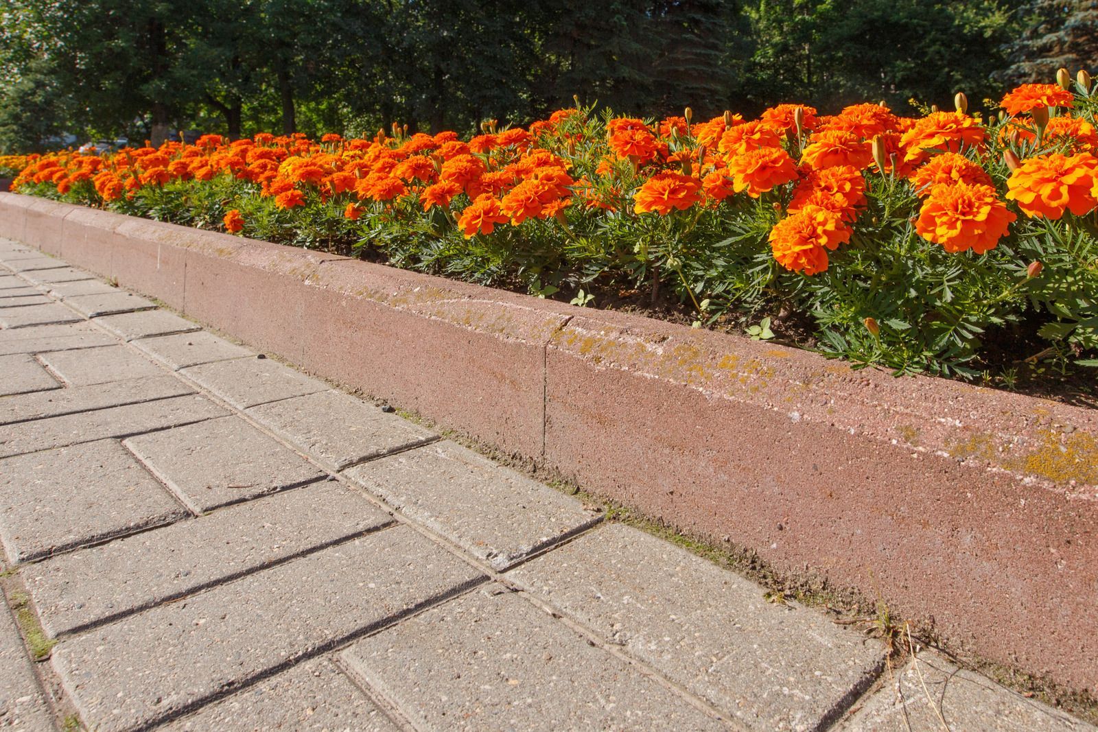 A construction worker kneels, inspecting a floor vent with a pen, in a room with a window.