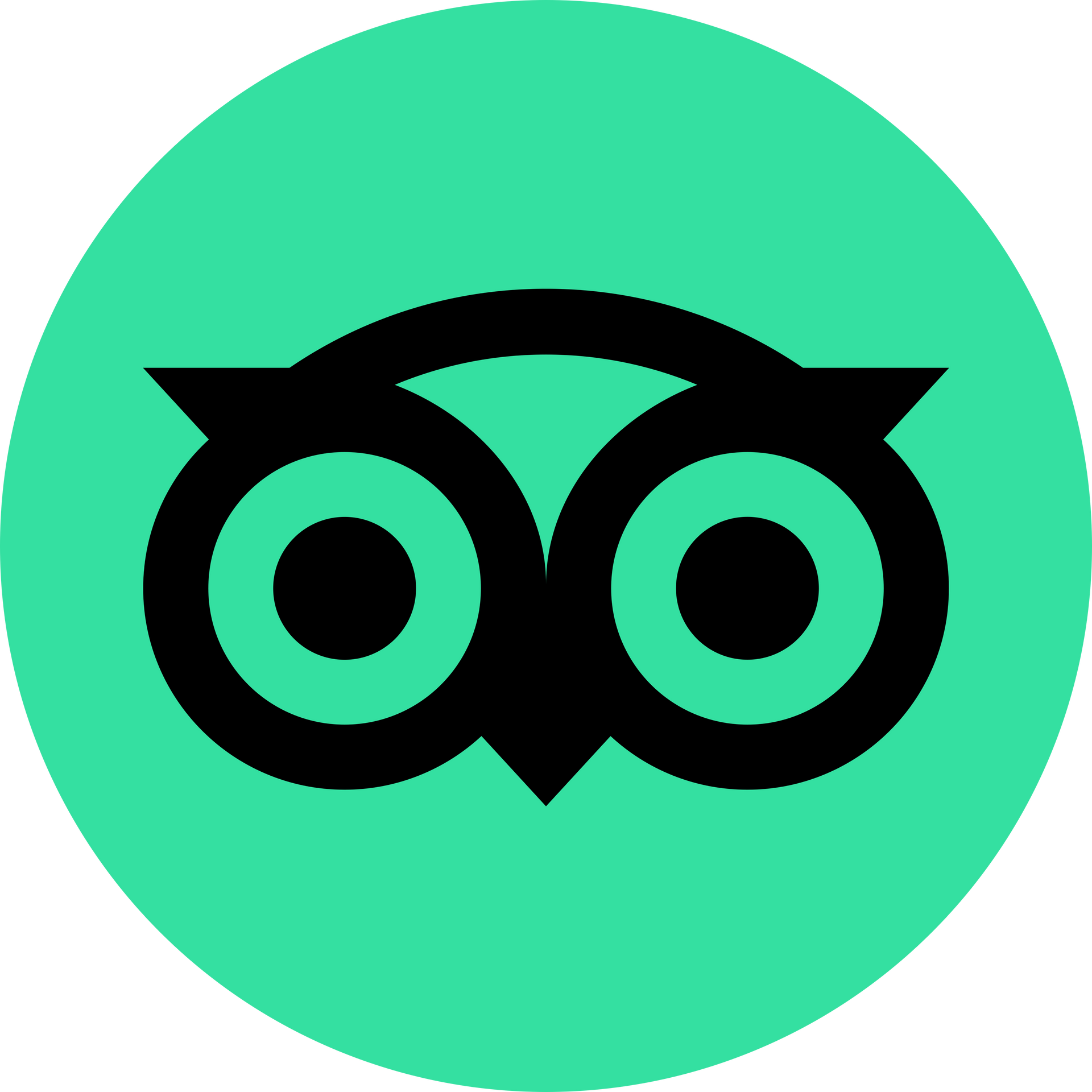 Tripadvisor logo, featuring a black, stylized owl icon centered on a circular, bright green background.