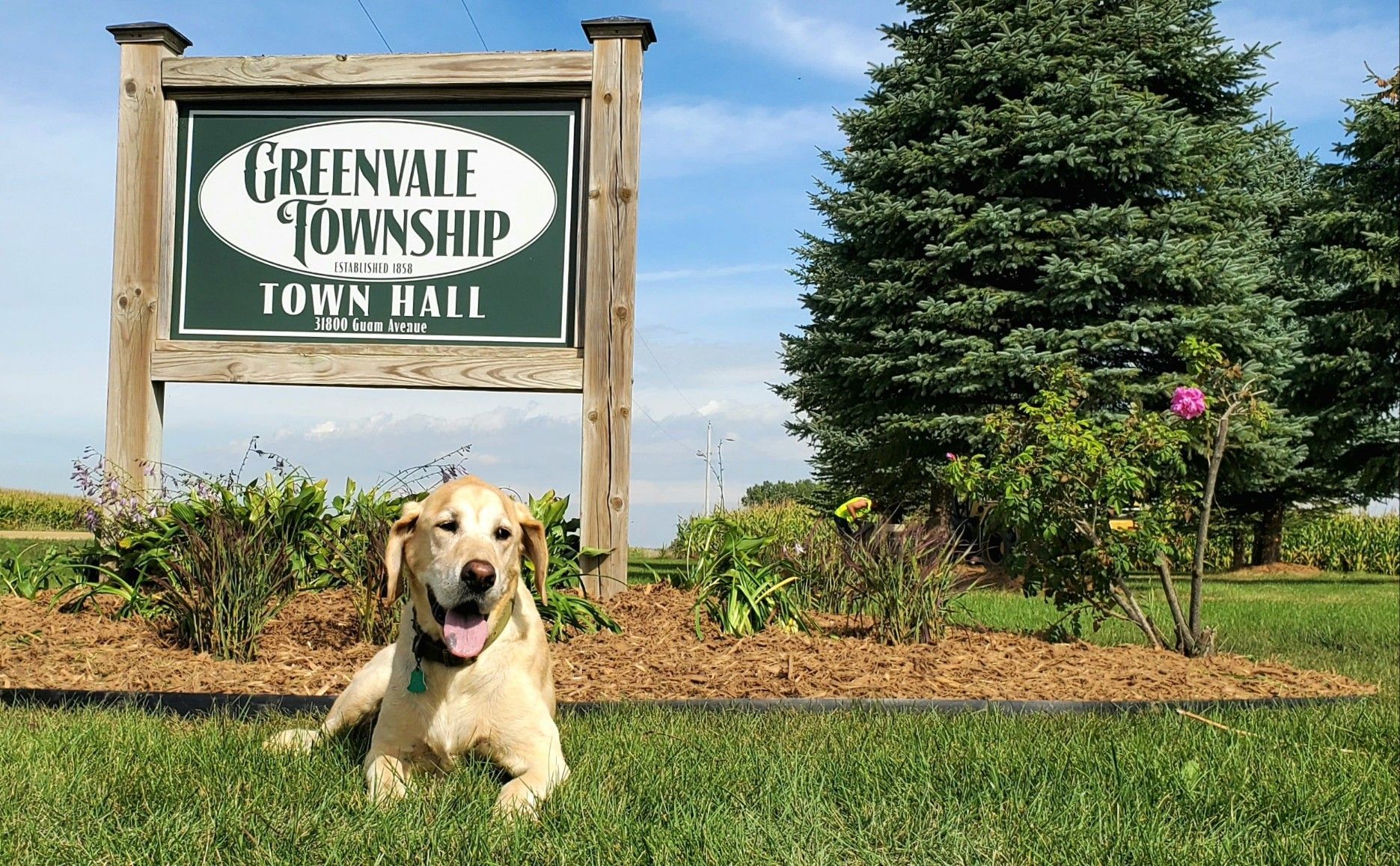 A dog is laying in front of a greenvale township sign.