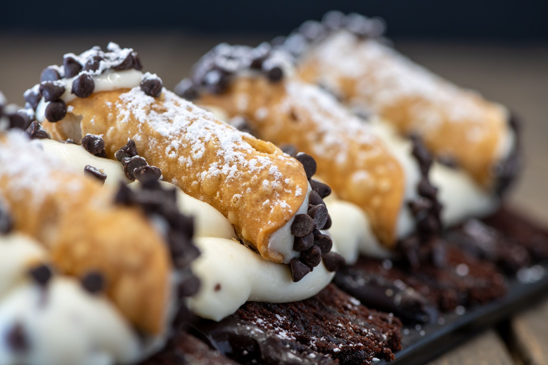 A close up of cannoli on a plate with chocolate chips and powdered sugar.
