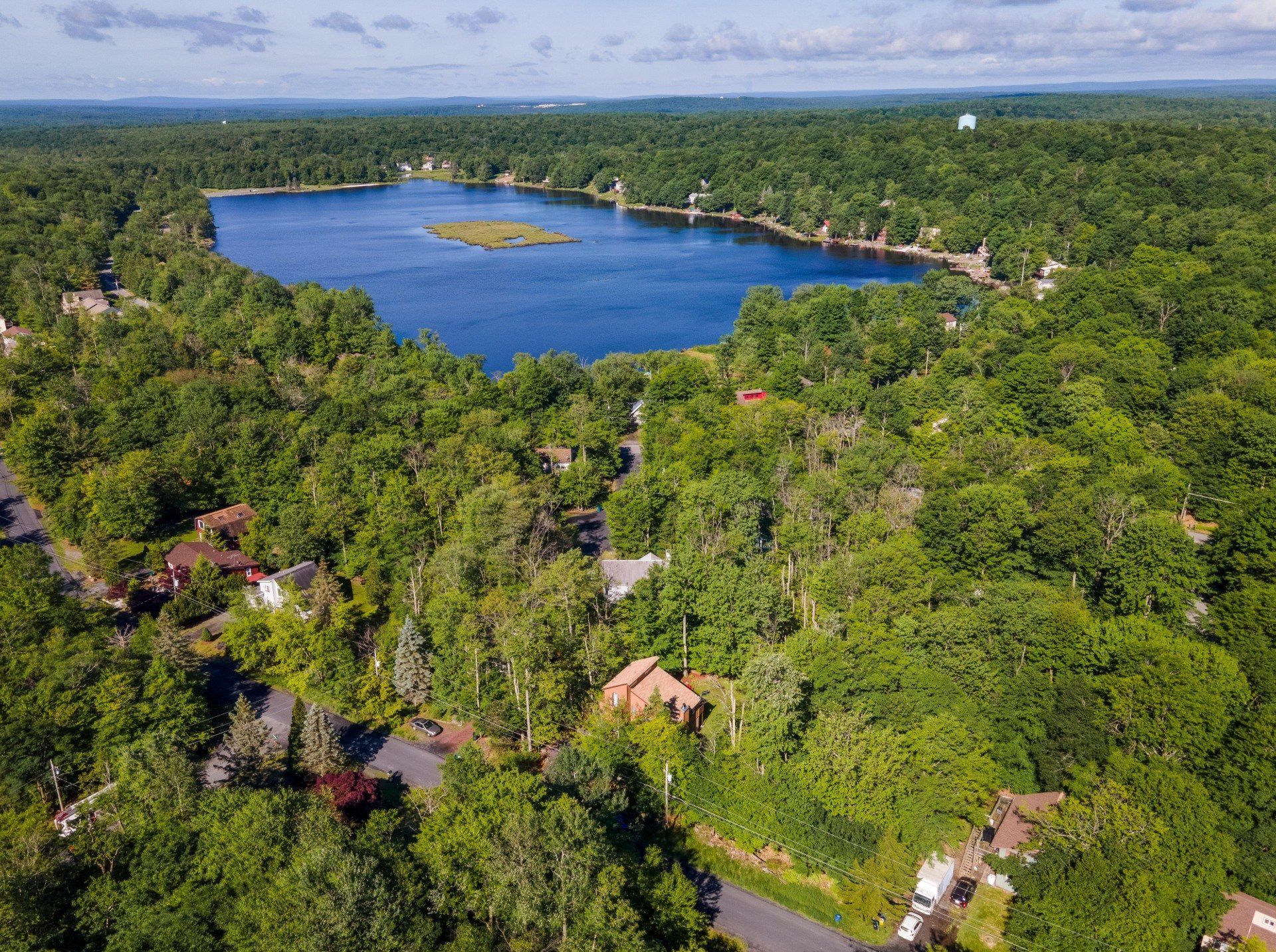 An aerial view of a lake surrounded by trees and houses.