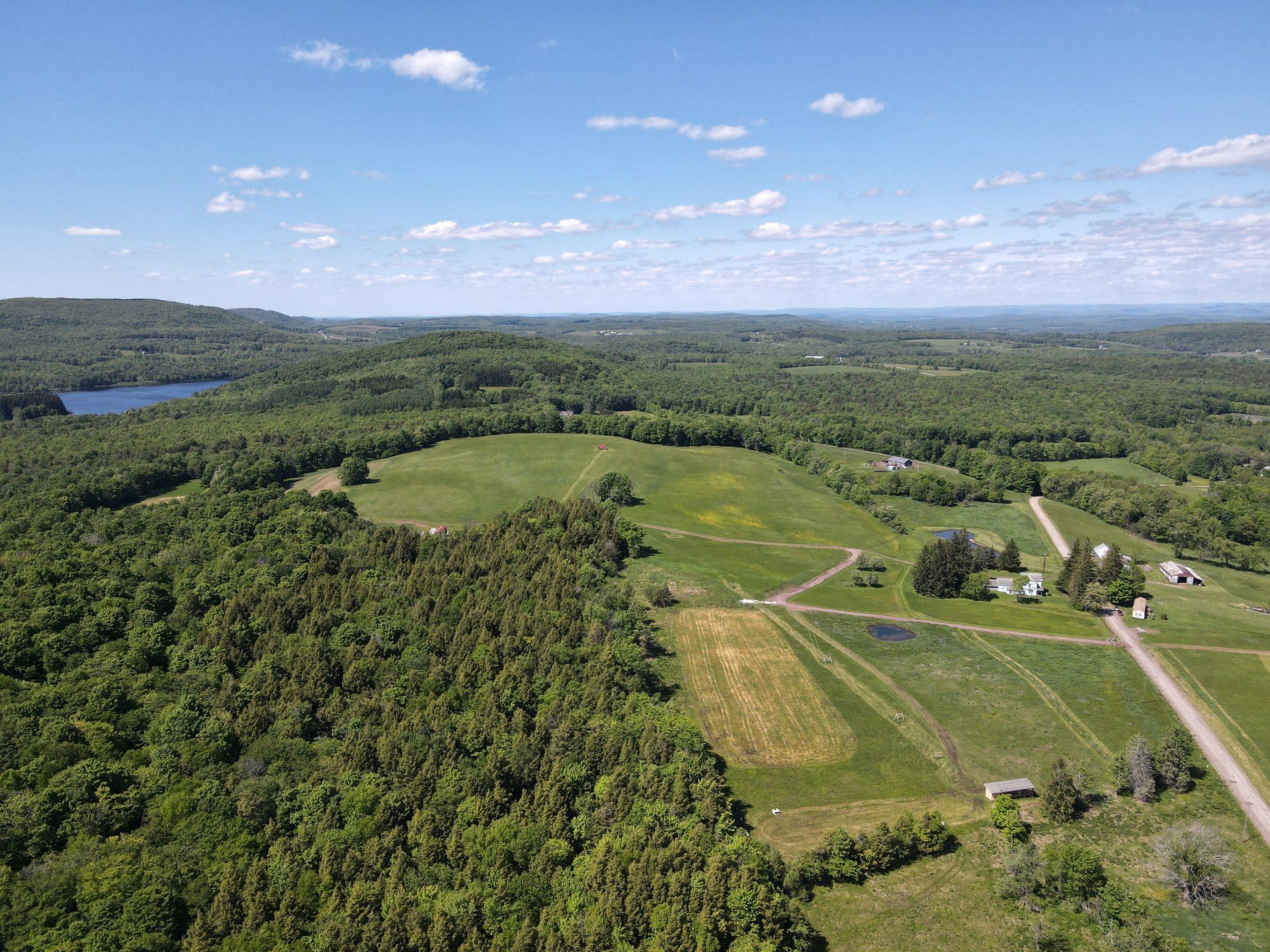 An aerial view of a lush green field surrounded by trees and a lake.