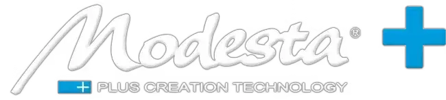 Logo for Modesta. Text reads