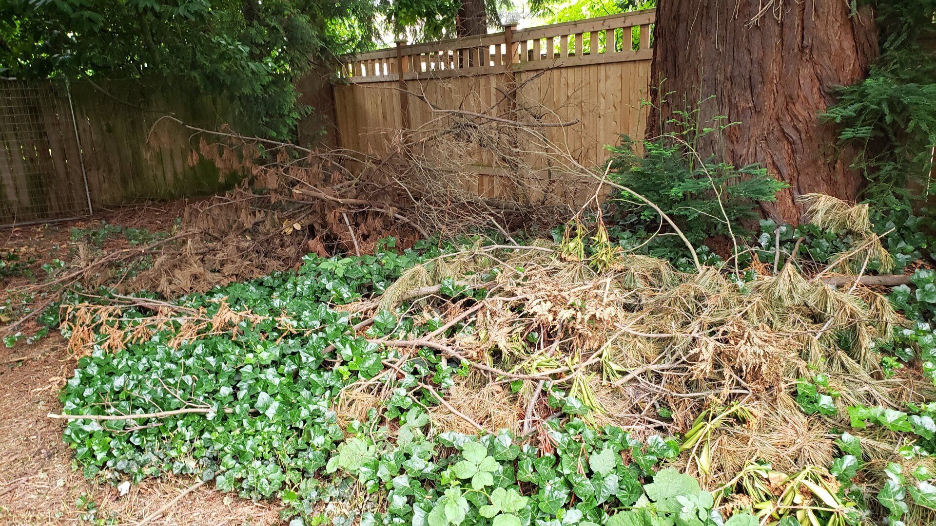 Storm Debris Removal