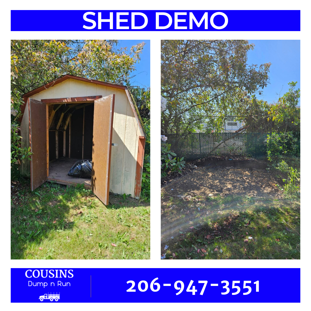 Shed demo