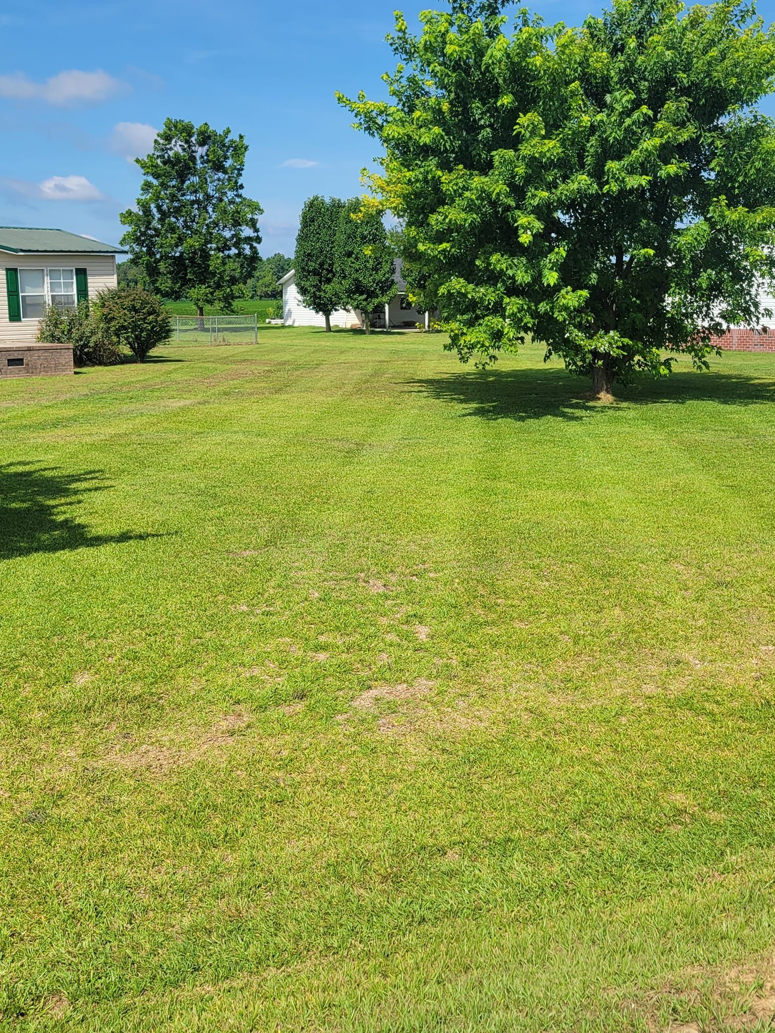 A lush green field with trees and a house in the background.
