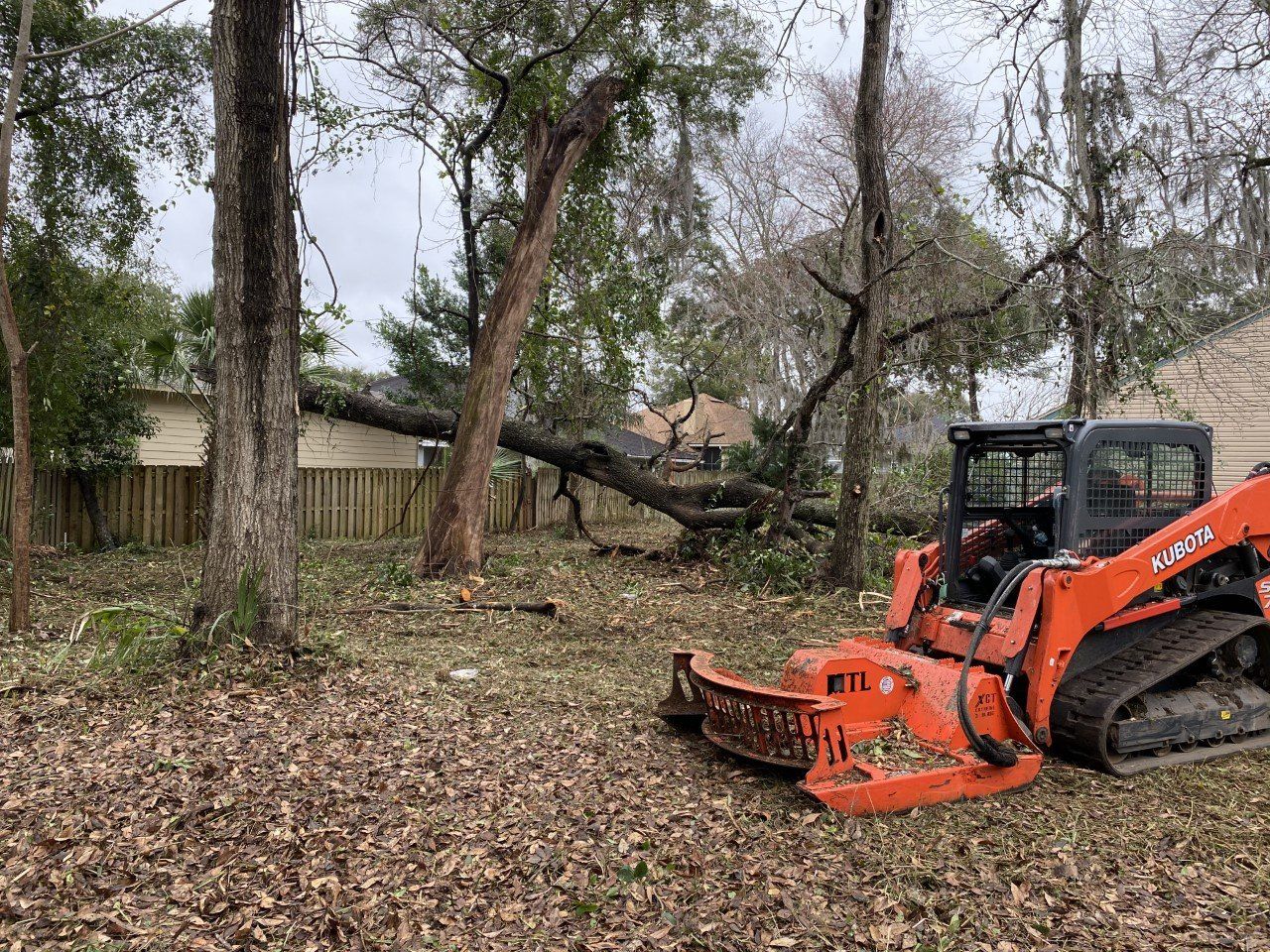 land clearing after