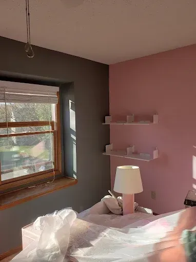 Bedroom with pink and gray walls, a window, shelves, and a lamp.