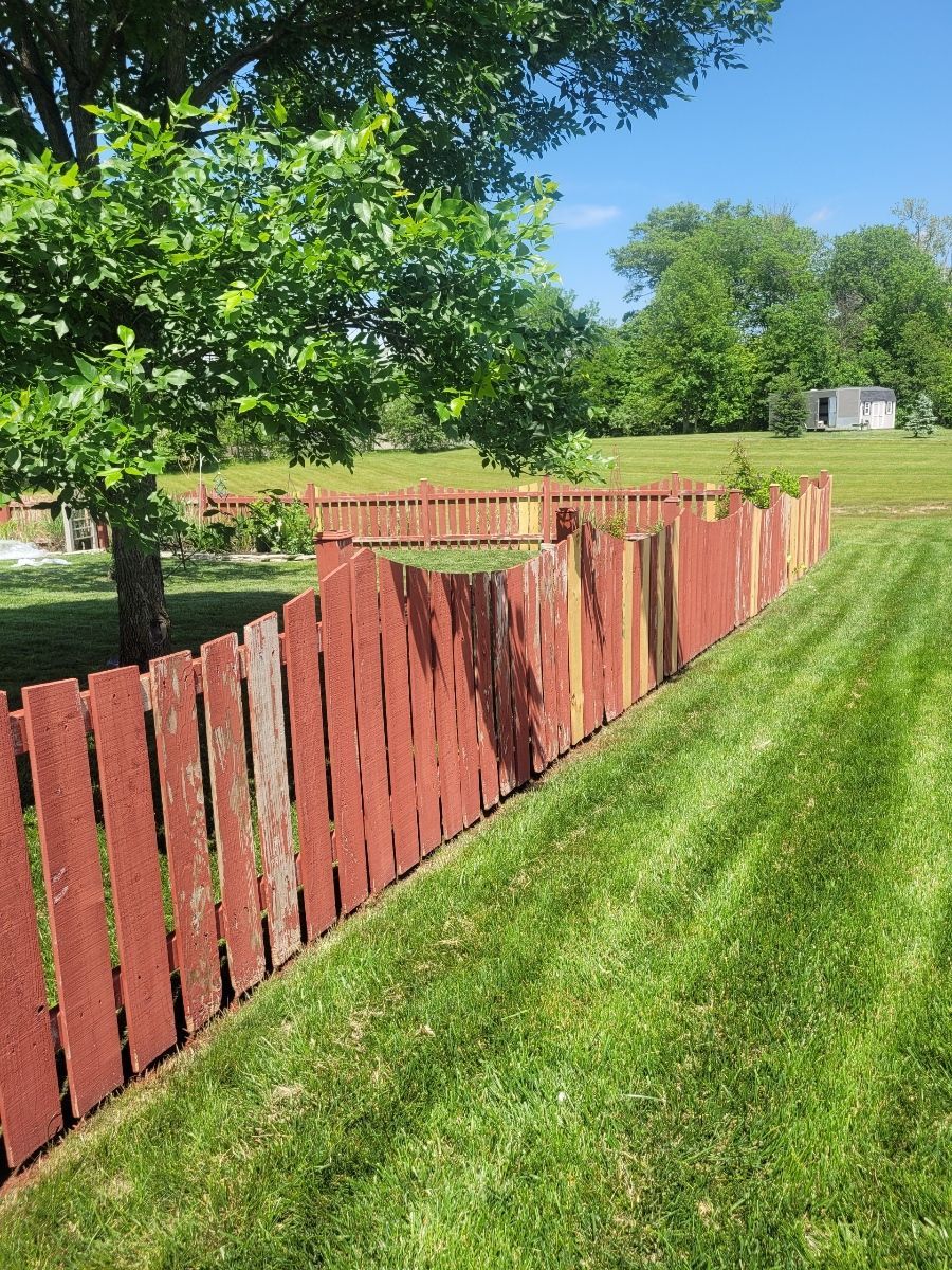 Red wooden fence bordering green lawn, with trees and a small building in the background.