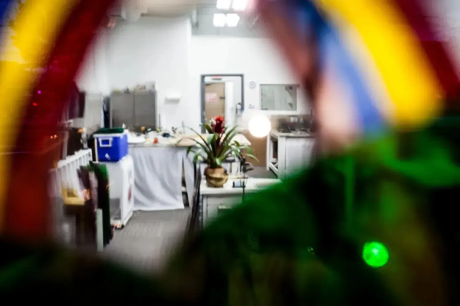 View through a reflective surface with colorful streaks. A room with a plant, desk, and open door is visible.