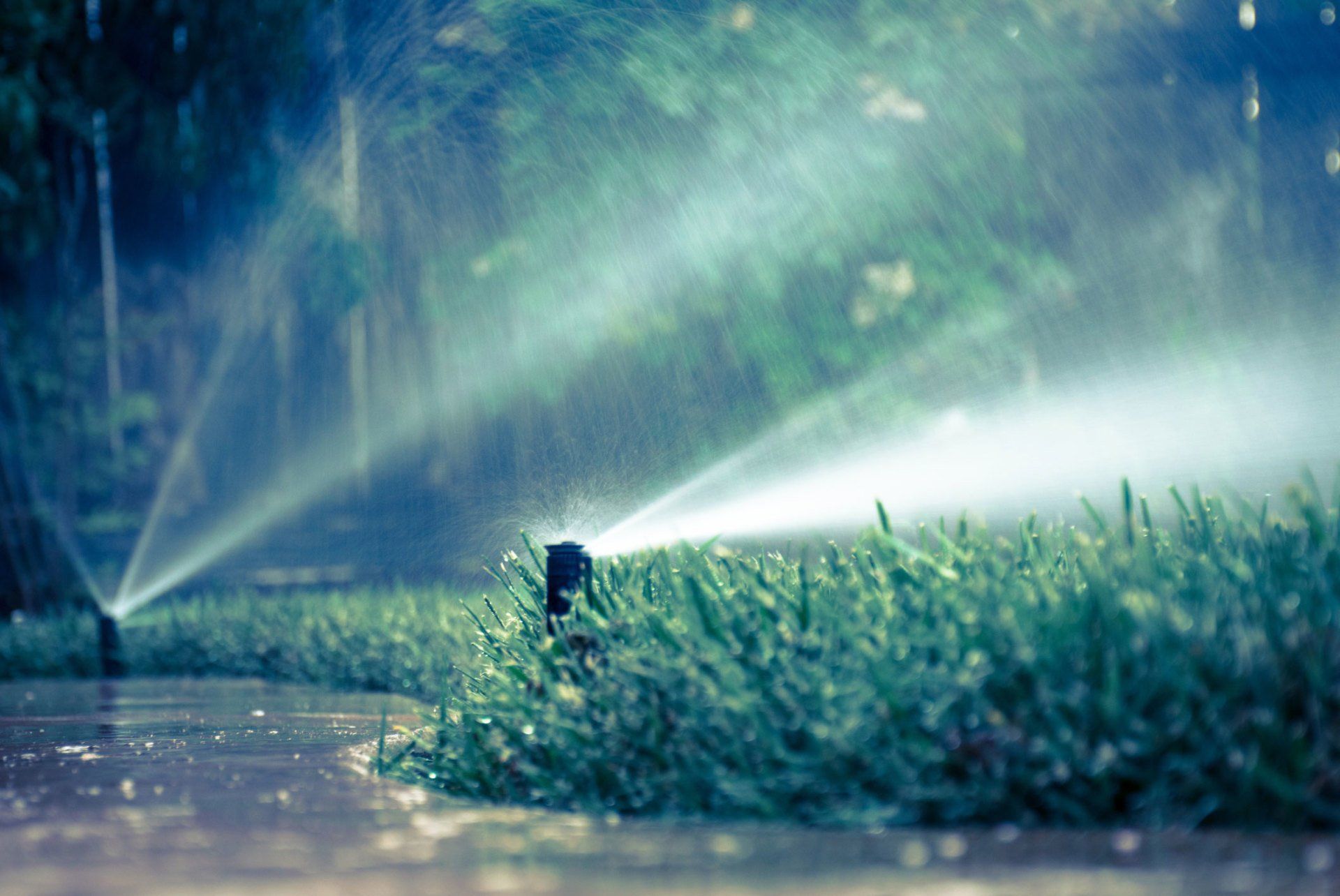 Sprinkler System — Garden Sprinkler In Action in Colorado Springs, CO