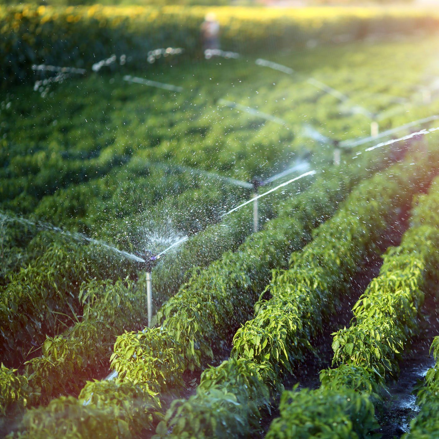 Smart Irrigation — Irrigation Sprinklers Functioning in Colorado Springs, CO