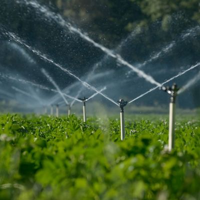 Irrigation System — Water Sprinklers Irrigating A Field in Colorado Springs, CO