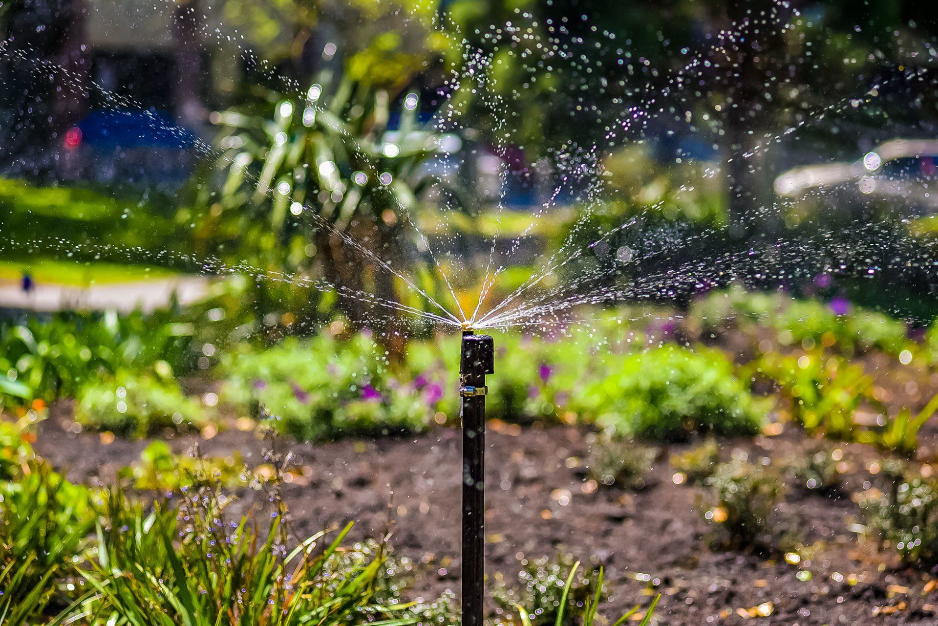 Keep Your Lawn Healthy & Watered Colorado Springs, CO Sprinkler