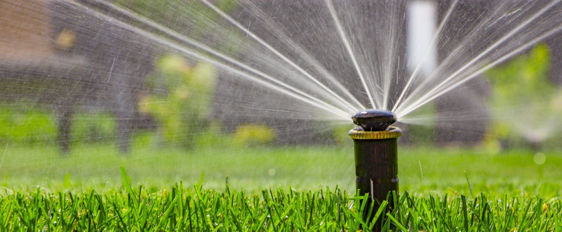 Keep Your Lawn Healthy & Watered Colorado Springs, CO Sprinkler