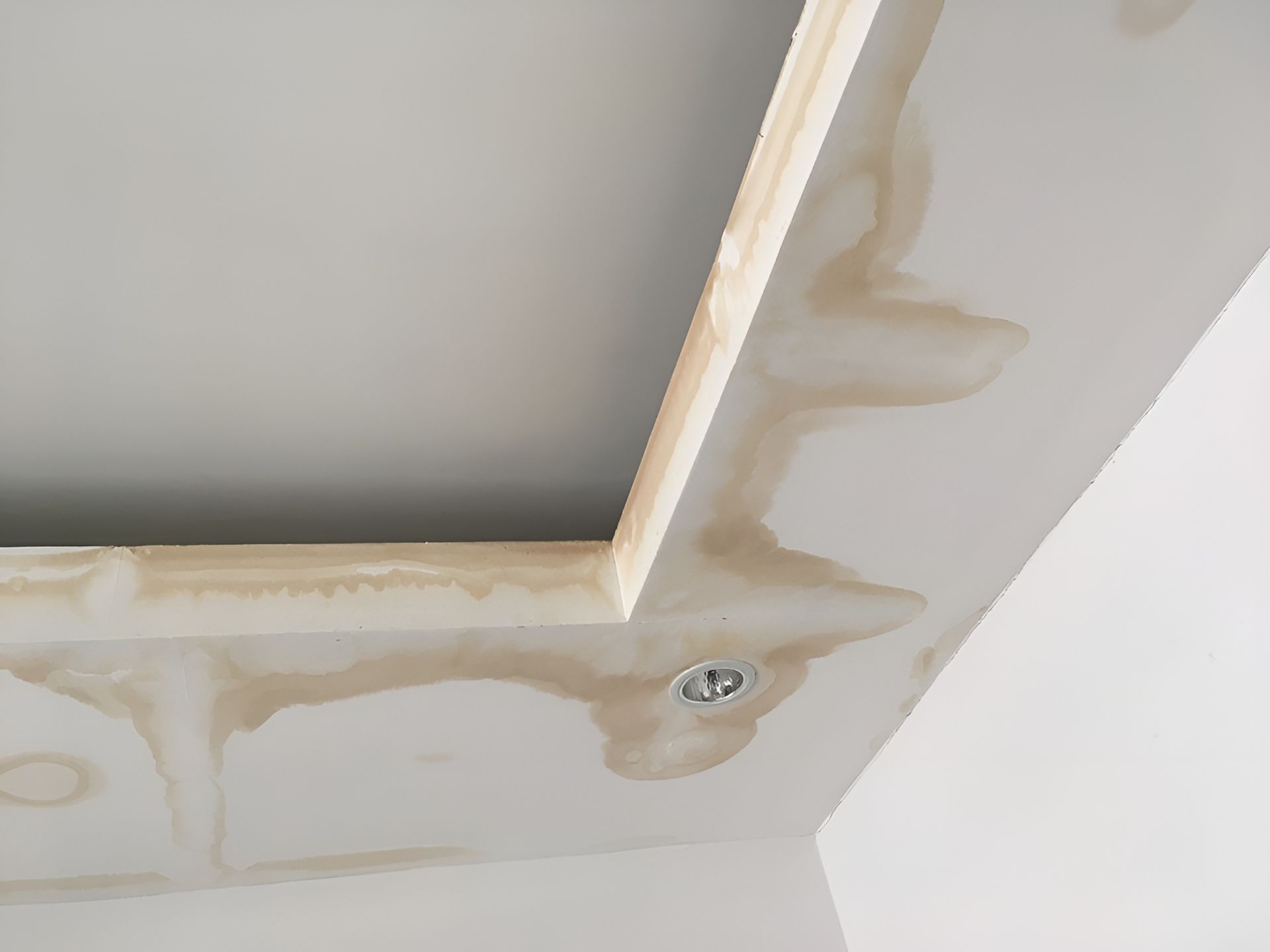 Water Damage on A White Ceiling with Brown Stains, Near a Recessed Light Fixture — Frenchy’s Plaster & Paint in Bellamack, NT