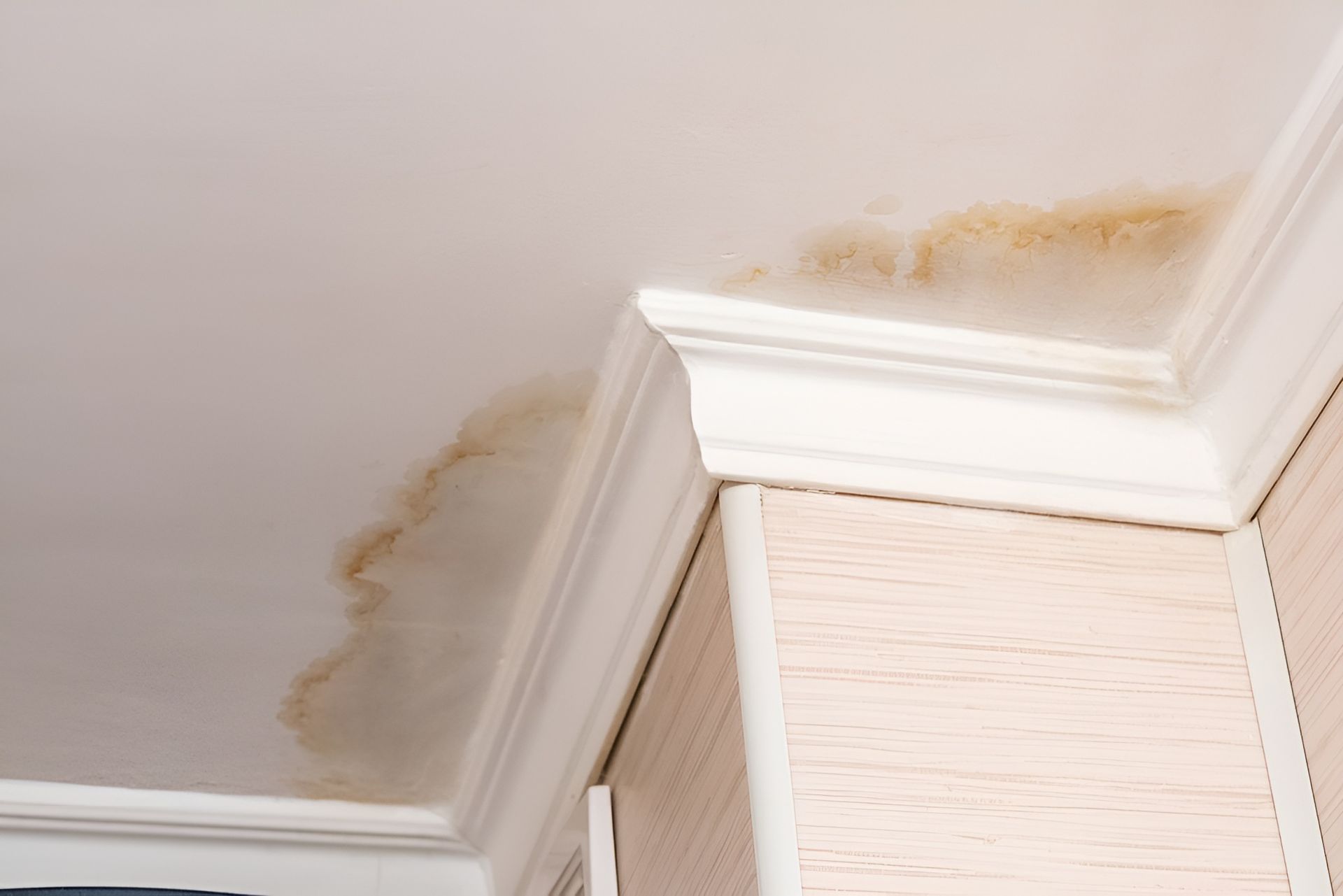 Brown Water Stains on A White Ceiling Near Crown Molding — Frenchy’s Plaster & Paint in Bellamack, NT