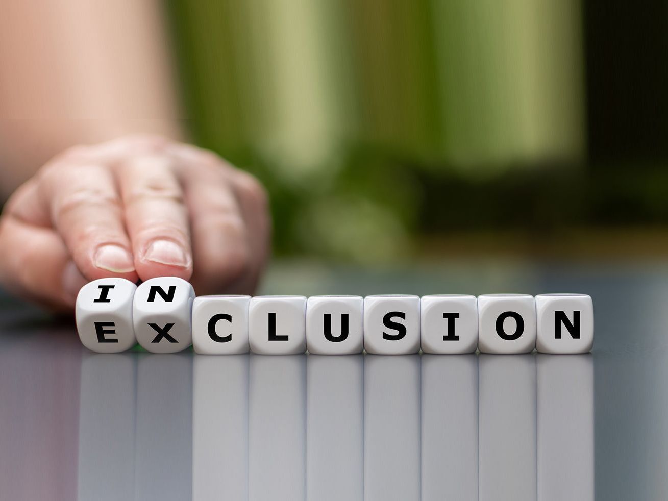inclusion dice