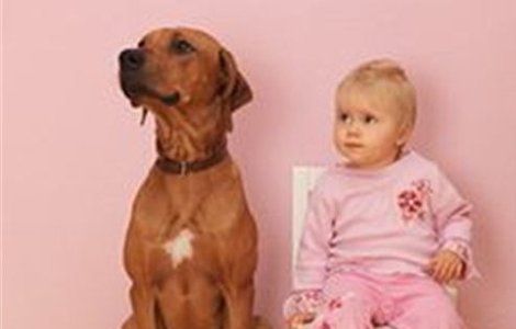 can babies and dogs communicate