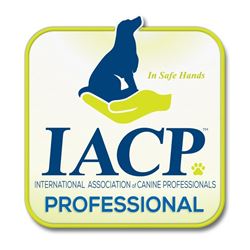 IACP professional
