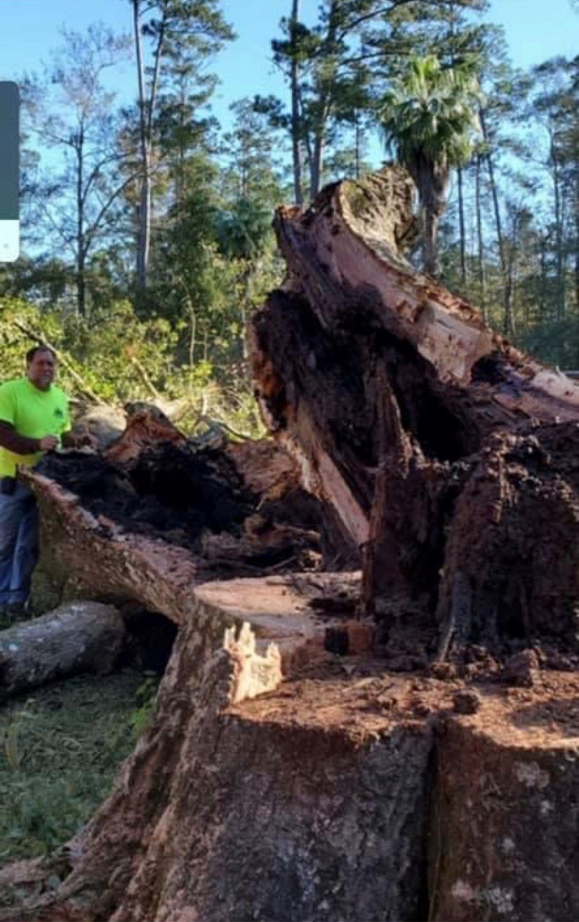 Tree Service — Slidell, LA — Strecker Tree Service