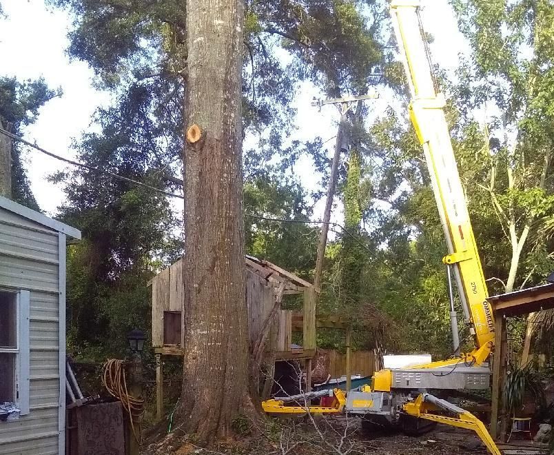 Tree Trimming Services — Slidell, LA — Strecker Tree Service