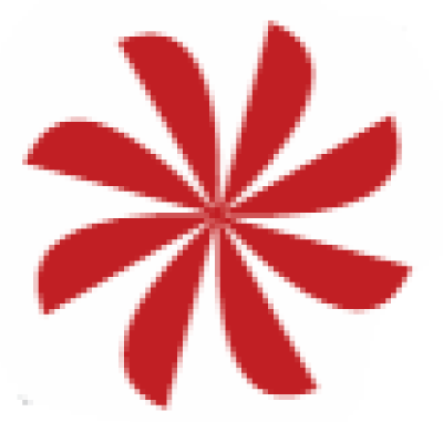 Eine rote Blume mit Blütenblättern auf weissem Hintergrund.