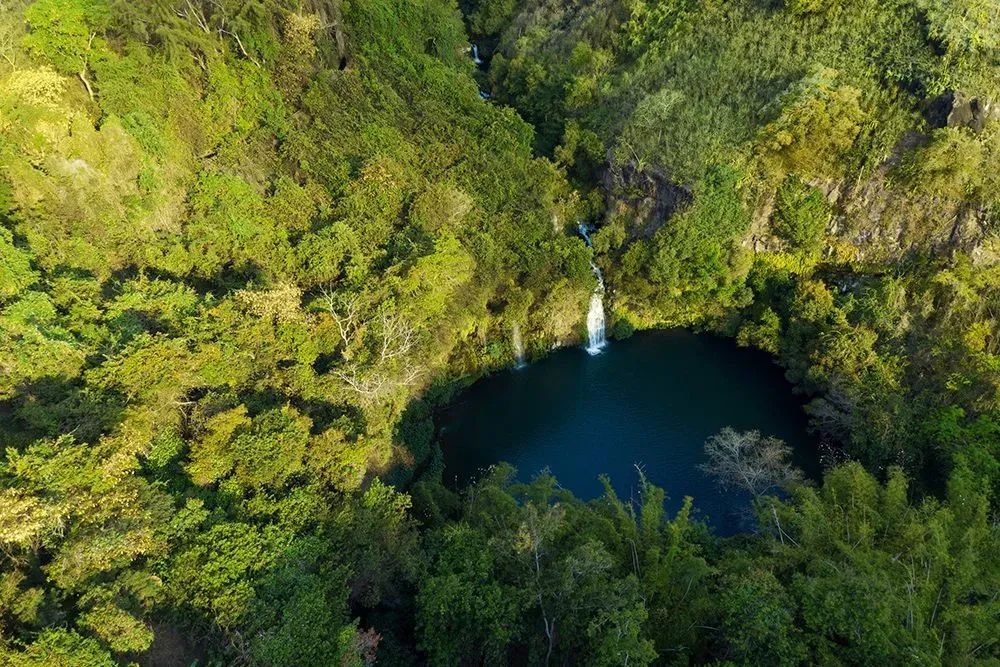 An aerial view of a lake surrounded by trees in the middle of a forest.