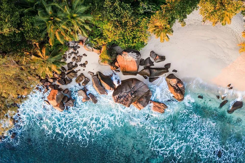 An aerial view of a tropical beach with palm trees and rocks.